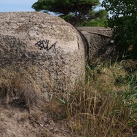 Photo de France - La randonnée de la Tamarissière